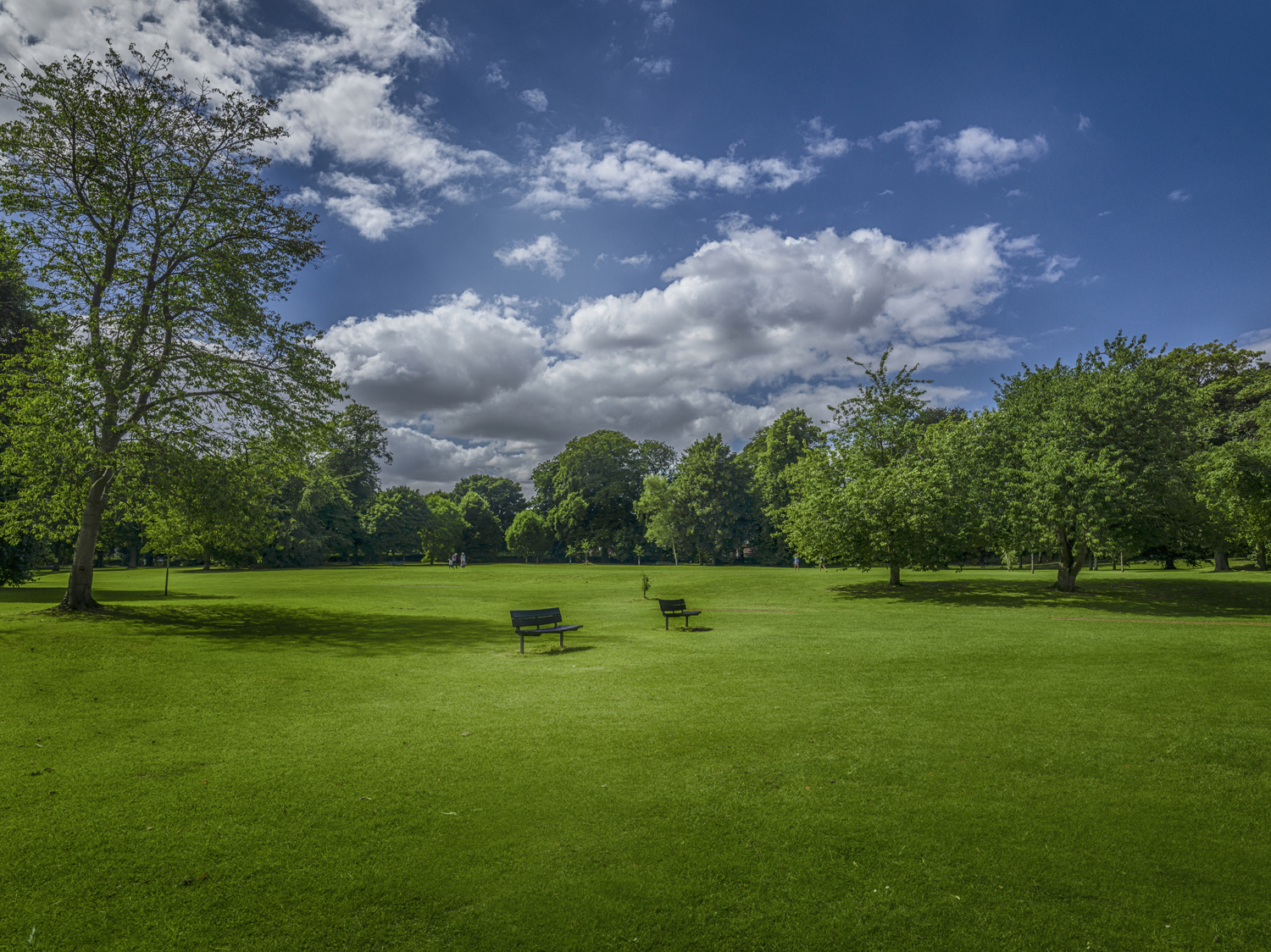 Vote for Baysgarth Park